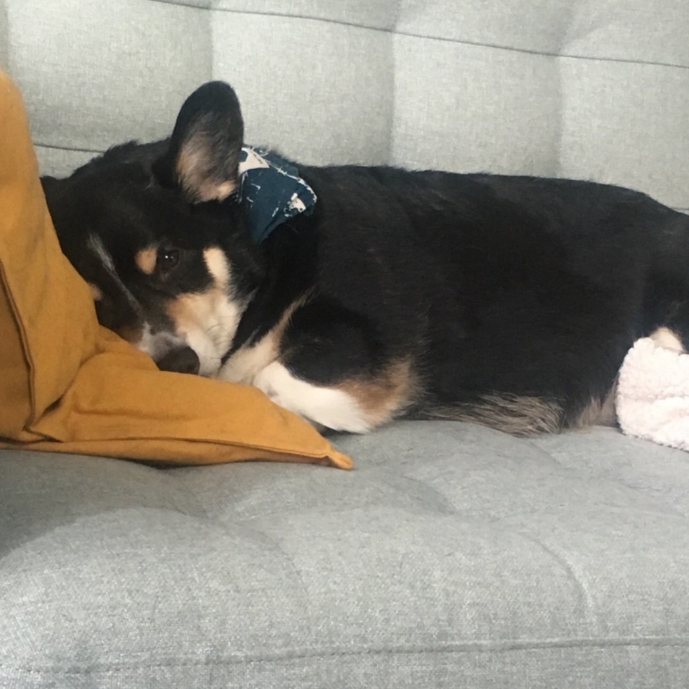 Meet your Posher, Emily